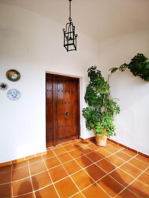 Villa Paraiso Écija Zewnętrze zdjęcie